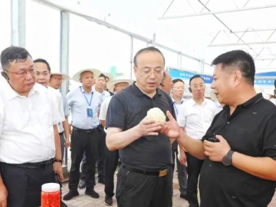 安徽省政協(xié)副主席、安慶市委書記張祥安于8月7日上午帶領著全市七縣三區(qū)主要領導蒞臨潛山市壽光模式智慧農(nóng)業(yè)產(chǎn)業(yè)示范園項目調(diào)研指導工作并召開現(xiàn)場會議